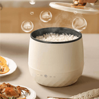 Multi-Purpose Stylish Household Mini Cooker